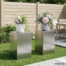 Planteholder 2 pcs Sølv 40 x 40 x 60 cm Rustfrit stål