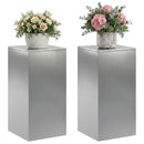 Planteholder 2 pcs Sølv 40 x 40 x 80 cm Rustfrit stål
