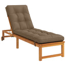 Solseng Pude VIANEN 100% polyester Gråbrun 200 x 55 x 8 cm