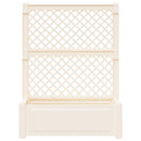 Stor blomsterkasse med espalier Hvid 99,5 x 43 x 133,5 cm PP