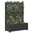 Stor blomsterkasse med espalier Antracit 99,5 x 43 x 133,5 cm