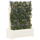 Stor krukke med trellis Hvid 99,5 x 43 x 133,5 PP