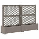 Stor krukke med trellis 2 pcs Grå 200 x 43 x 133,5 cm PP