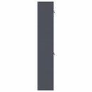 Opbevaringsskab 2 stk. Antracit 60 x 40 x 220 cm Stål Låses
