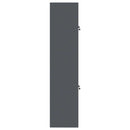 Opbevaringsskab 2 stk. Antracit 60 x 40 x 175 cm Stål Låses