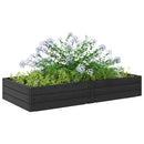 Hævet bed Sort 151 x 75,5 x 25 cm PP
