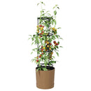Tomat Vokser Naturo ECO Ø 29 x 106 cm WPC