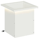 Plantekasse med LED Hvid 30 x 30 x 30 cm Stål
