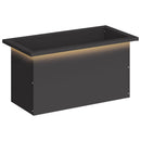 Plantekasse med LED Sort 30 x 60 x 30 cm Stål