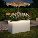Plantekasse med LED Hvid 30 x 60 x 30 cm Stål