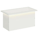 Plantekasse med LED Hvid 30 x 60 x 30 cm Stål