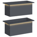 Plantekasse med LED 2 stk. Antracit 30 × 60 × 30 cm Stål