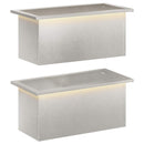 Plantekasse med LED 2 stk. Sølv 30 x 60 x 30 cm Rustfrit stål