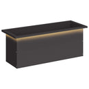 Plantekasse med LED Sort 30 x 80 x 30 cm Stål