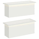 Plantekasse med LED 2 stk. Hvid 30 x 80 x 30 cm Stål