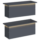 Plantekasse med LED 2 stk. Antracit 30 x 80 x 30 cm Stål