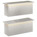 Plantekasse med LED 2 stk. Sølv 30 x 80 x 30 cm Rustfrit stål