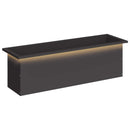 Plantekasse med LED Sort 30 x 100 x 30 cm Stål