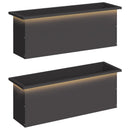 Plantekasse med LED 2 stk. Sort 30 × 100 × 30 cm Stål