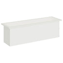 Plantekasse med LED Hvid 30 × 100 × 30 cm Stål