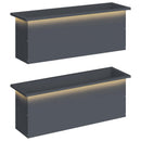 Plantekasse med LED 2 stk. Antracit 30 x 100 x 30 cm Stål