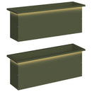 Plantekasse med LED 2 stk. Olivengrøn 30 × 100 × 30 cm Stål
