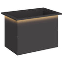 Plantekasse med LED Sort 40 x 60 x 40 cm Stål