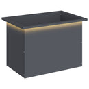 Plantekasse med LED Antracit 40 x 60 x 40 cm Stål