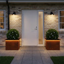 Plantekasse med LED 2 stk. Rusten 40 × 60 × 40 cm Cortenstål