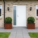 Plantekasse med LED 2 stk. Rusten 40 × 60 × 40 cm Cortenstål