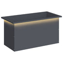 Plantekasse med LED Antracit 40 x 80 x 40 cm Stål