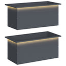 Plantekasse med LED 2 stk. Antracit 40 x 80 x 40 cm Stål