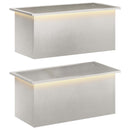 Plantekasse med LED 2 stk. Sølv 40 x 80 x 40 cm Rustfrit stål