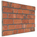 Vægpaneler 10 stk. 100 x 50 cm Terrakotta EPS Skum
