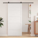 Ladedør Hvid 100 x 2,5 x 208 cm Massivt fyrretræ