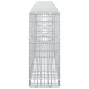Gabion med 3,5 mm tråd og 5x2,5 cm net 200x20x50 cm