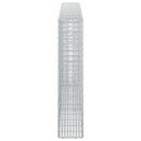 Gabion med 3,5 mm tråd og 5x2,5 cm net 250x20x100 cm