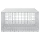 Gabion med 3,5 mm tråd og 5x2,5 cm net 100x100x50 cm