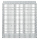Gabion med 3,5 mm tråd og 5x2,5 cm net 50x100x100 cm