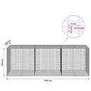 Gabion med 3,5 mm Tråd og 5x2,5 cm Maske 300x100x100 cm