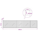 Gabion med 3,5 mm Tråd og 5x5 cm Maske 250x10x50 cm