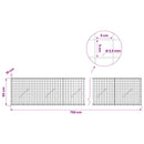 Gabion med 3,5 mm Tråd og 5x5 cm Maske 750x10x50 cm