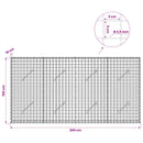 Gabion med 3,5 mm Tråd og 5x5 cm Maske 200x10x100 cm