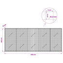 Gabion med 3,5 mm Tråd og 5x5 cm Maske 250x10x100 cm