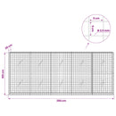 Gabion med 3,5 mm Tråd og 5x5 cm Maske 250x20x100 cm