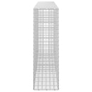 Gabion med 3,5 mm Tråd og 5x5 cm Maske 250x30x100 cm