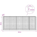 Gabion med 3,5 mm Tråd og 5x5 cm Maske 250x30x100 cm