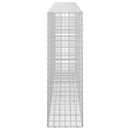 Gabion med 3,5 mm Tråd og 5x5 cm Maske 300x30x100 cm