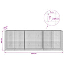 Gabion med 3,5 mm Tråd og 5x5 cm Maske 300x30x100 cm