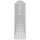 Gabion med 3,5 mm Tråd og 5x5 cm Maske 650x30x100 cm